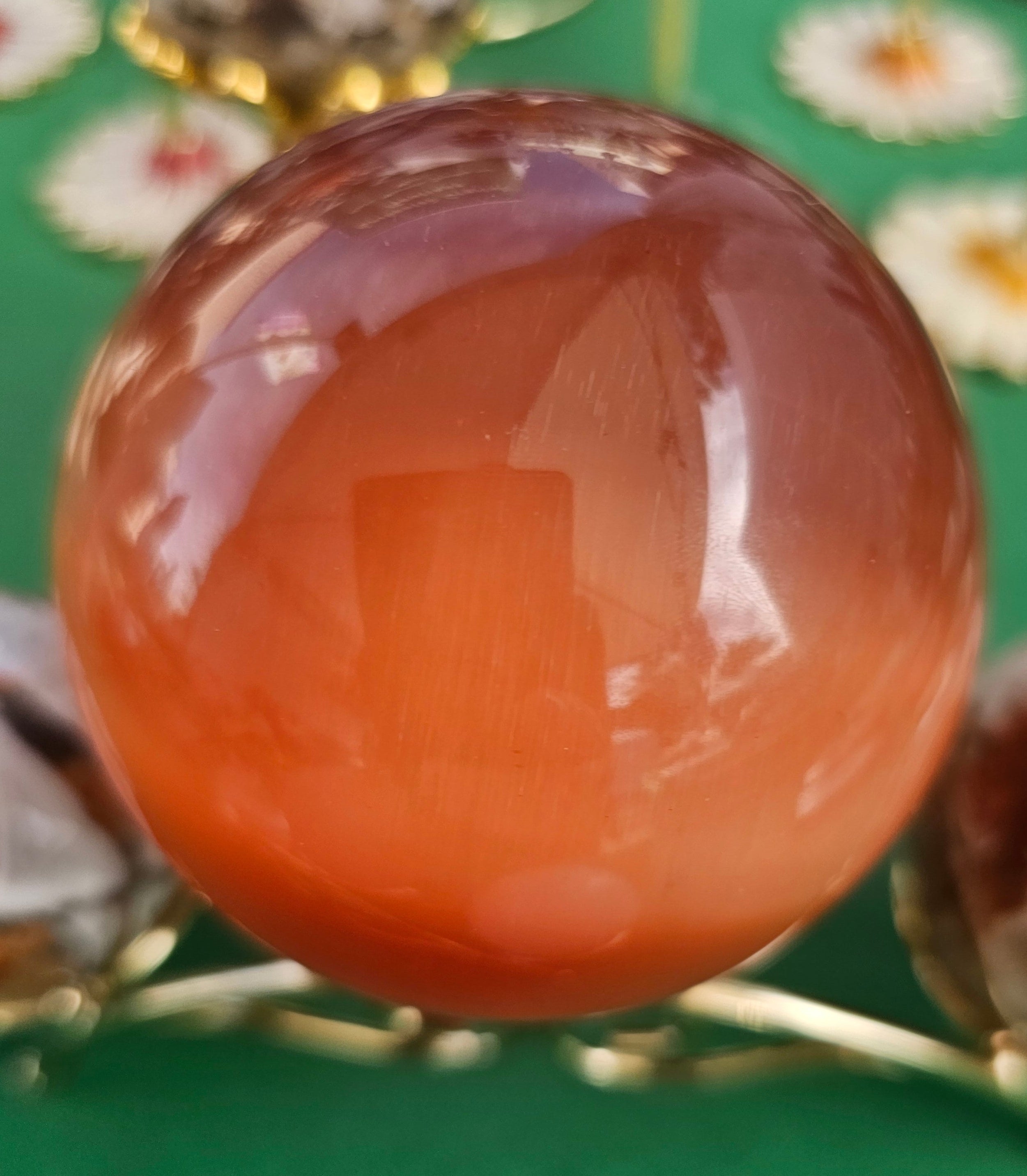 Red Cat's Eye