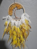 Dream catchers